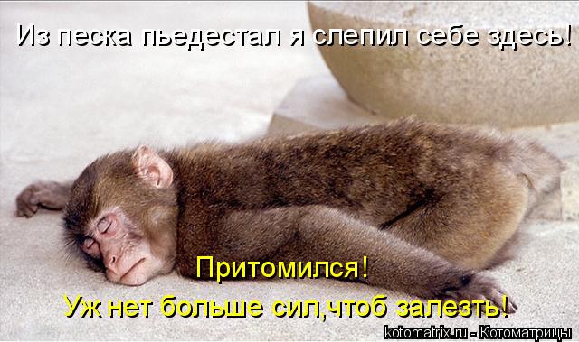Из песка пьедестал я слепил себе здесь! Уж нет больше сил,чтоб залезть! Притомился!... Котоматрица: Из песка пьедестал я слепил себе здесь! Уж нет больше сил,чтоб залезть! Притомился!