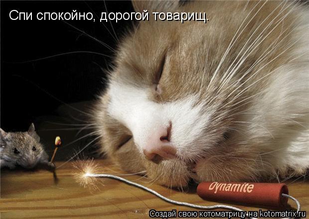 Котоматрица: Спи спокойно, дорогой товарищ.