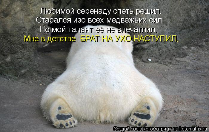 Любимой серенаду спеть решил. Старался изо всех медвежьих сил. Но мой талант её не впечатлил. Мне в д... Котоматрица: Любимой серенаду спеть решил. Старался изо всех медвежьих сил. Но мой талант её не впечатлил. Мне в детстве БРАТ НА УХО НАСТУПИЛ,