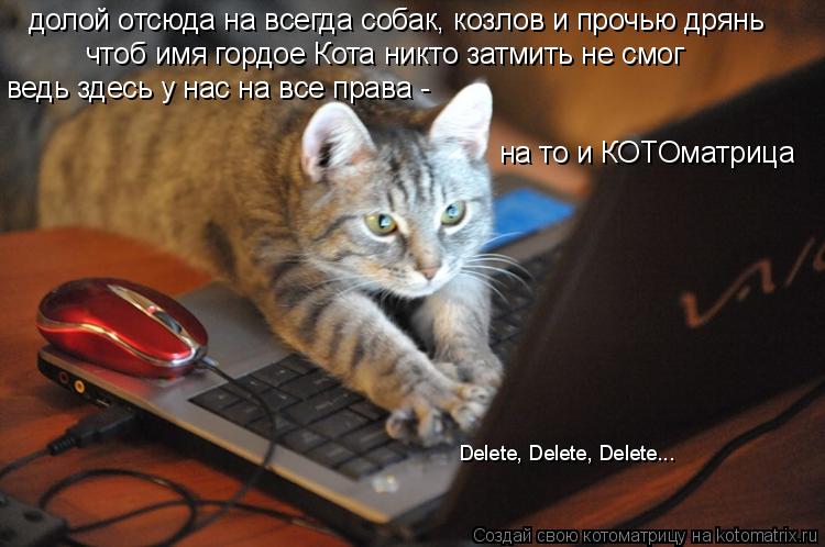 Котоматрица: долой отсюда на всегда собак, козлов и прочью дрянь чтоб имя гордое Кота никто затмить не смог ведь здесь у нас на все права - на то и КОТОмат