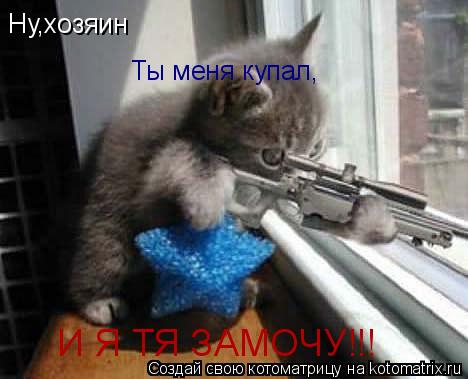 Котоматрица: Ну,хозяин Ты меня купал, И Я ТЯ ЗАМОЧУ!!!