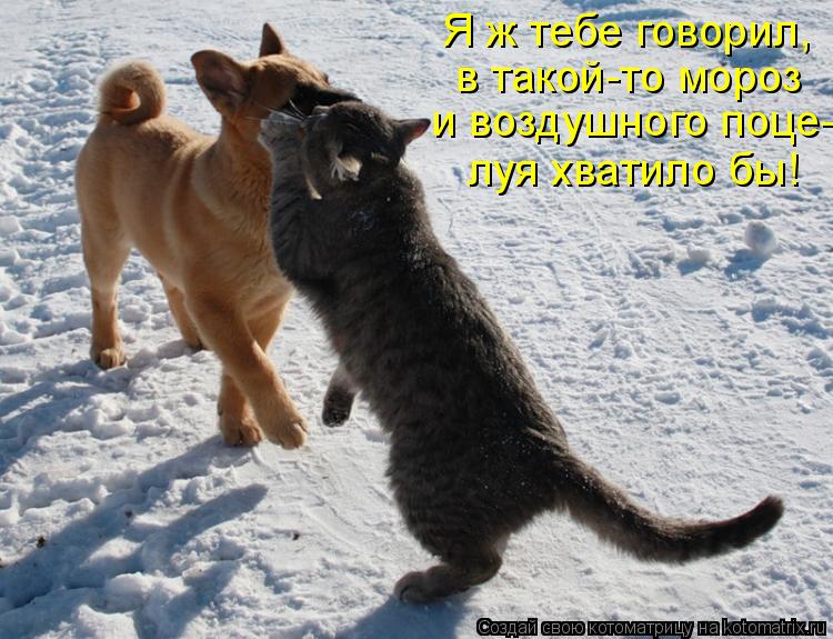 Котоматрица: Я ж тебе говорил, в такой-то мороз и воздушного поце- луя хватило бы!