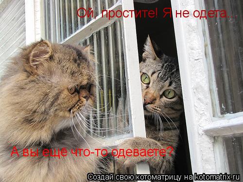 Котоматрица: Ой, простите! Я не одета... А вы ещё что-то одеваете?