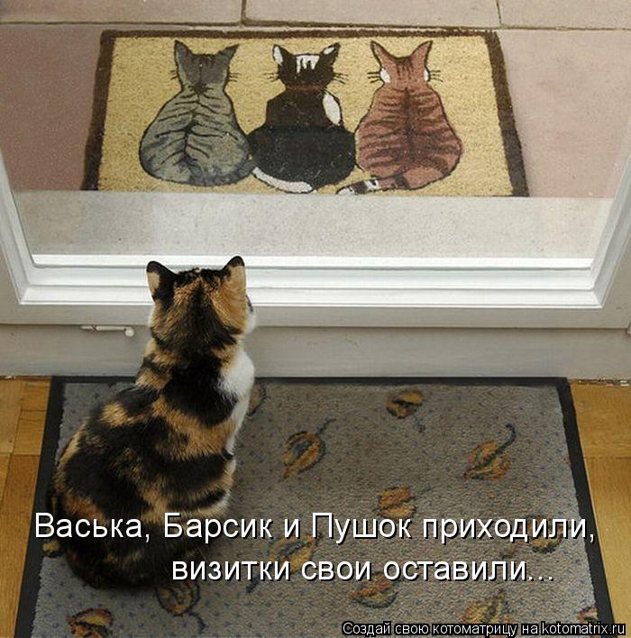 Котоматрица: Васька, Барсик и Пушок приходили,  визитки свои оставили...