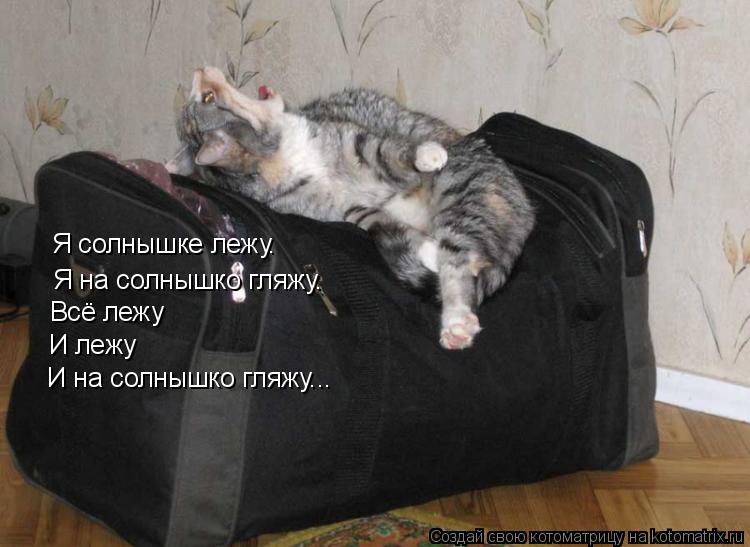 Котоматрица: Я на солнышко гляжу. Я солнышке лежу. Всё лежу И лежу И на солнышко гляжу...