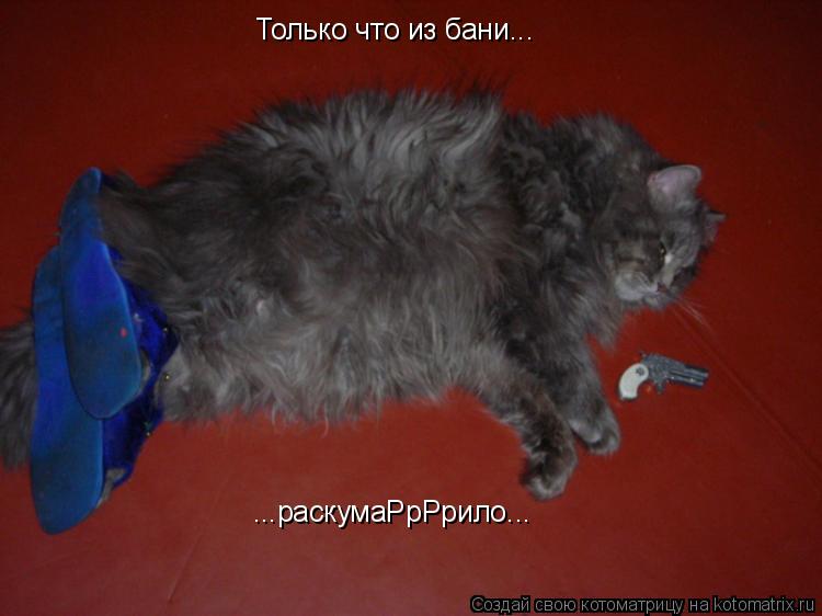 Котоматрица: Только что из бани... ...раскумаРрРрило...
