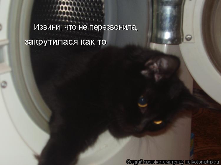 Котоматрица: Извини, что не перезвонила, закрутилася как то