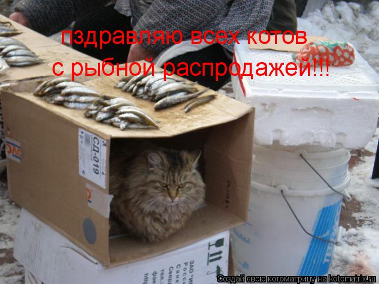 Котоматрица: пздравляю всех котов с рыбной распродажей!!!