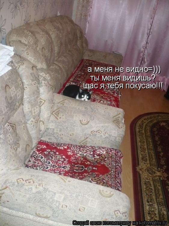 Котоматрица: а меня не видно=))) ты меня видишь? щас я тебя покусаю!!!
