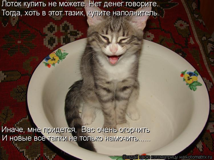 Котоматрица: Лоток купить не можете. Нет денег говорите. И новые все тапки не только намочить...... Тогда, хоть в этот тазик, купите наполнитель. Иначе, мне п
