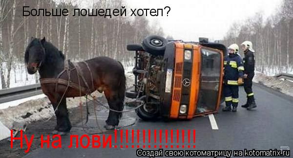 Котоматрица: Больше лошедей хотел? Ну на лови!!!!!!!!!!!!!!! Ну на лови!!!!!!!!!!!!!!!
