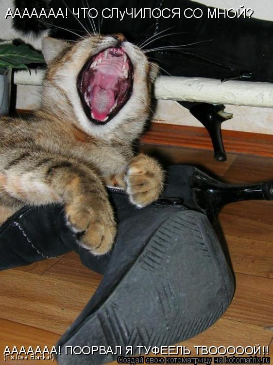 Котоматрица: ААААААА! ЧТО СЛуЧИЛОСЯ СО МНОЙ?  ААААААА! ПООРВАЛ Я ТУФЕЕЛЬ ТВОООООЙ!! (P.s love Bianka!)