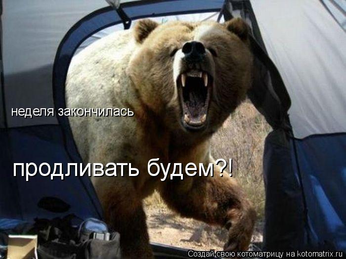 Котоматрица: неделя закончилась продливать будем?!