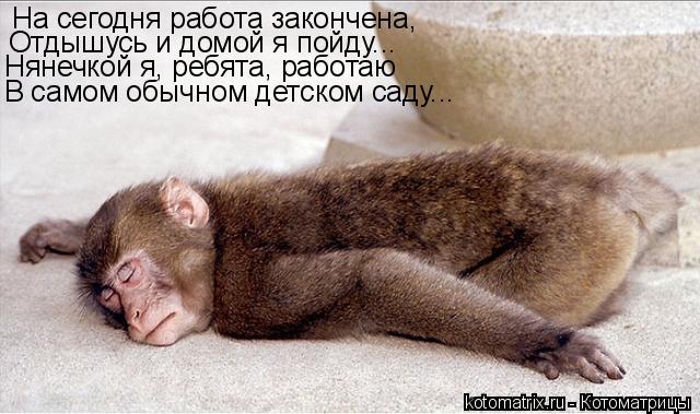 Котоматрица: На сегодня работа закончена, Отдышусь и домой я пойду... Нянечкой я, ребята, работаю В самом обычном детском саду...