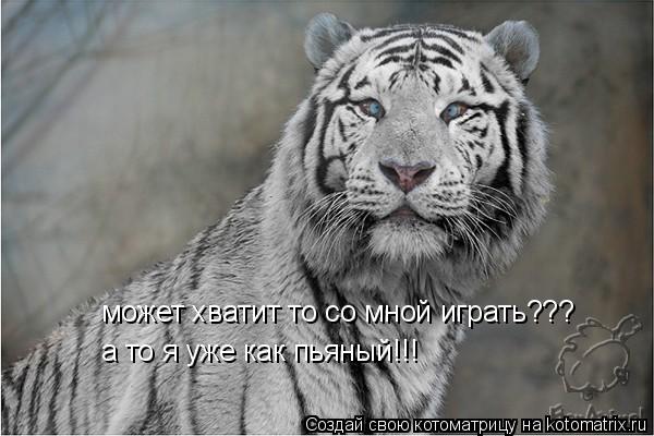 Котоматрица: может хватит то со мной играть??? а то я уже как пьяный!!!