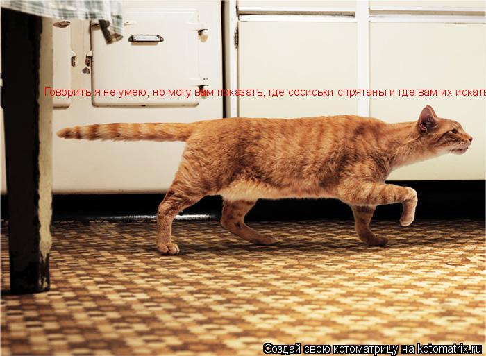 Котоматрица: Говорить я не умею, но могу вам показать, где сосиськи спрятаны и где вам их искать!