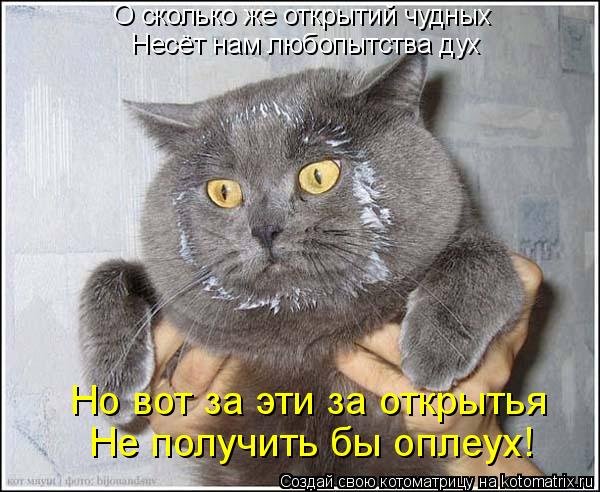 Котоматрица: О сколько же открытий чудных Несёт нам любопытства дух Но вот за эти за открытья Не получить бы оплеух!