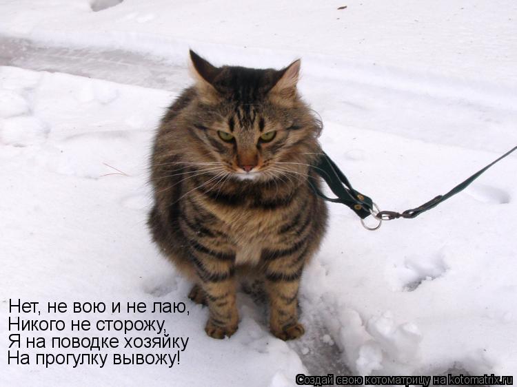 Нет, не вою и не лаю, Никого не сторожу, Я на поводке хозяйку На прогулку вывожу!... Котоматрица: Нет, не вою и не лаю, Никого не сторожу, Я на поводке хозяйку На прогулку вывожу!