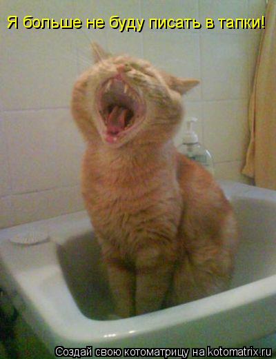 Котоматрица: Я больше не буду писать в тапки!