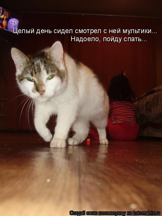 Котоматрица: Целый день сидел смотрел с ней мультики... Надоело, пойду спать...