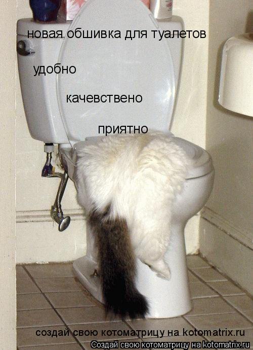 Котоматрица: новая обшивка для туалетов удобно качевствено приятно создай свою котоматрицу на kotomatrix.ru