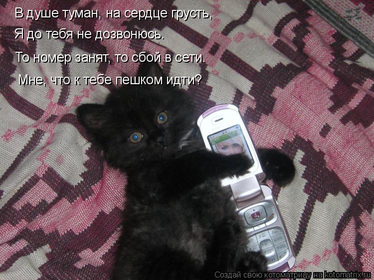 Котоматрица: В душе туман, на сердце грусть, Я до тебя не дозвонюсь. То номер занят, то сбой в сети. Мне, что к тебе пешком идти?