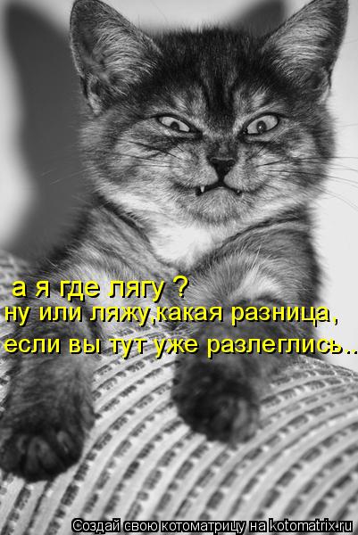 Котоматрица: а я где лягу ? ну или ляжу,какая разница, если вы тут уже разлеглись...