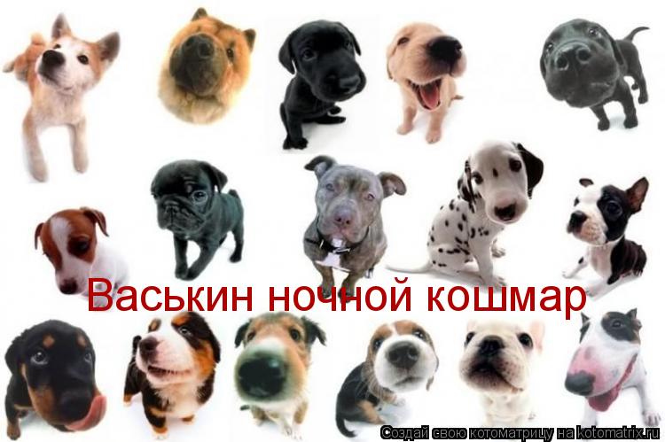 Котоматрица: Васькин ночной кошмар