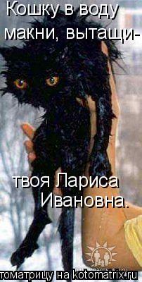 Котоматрица: Кошку в воду  макни, вытащи- твоя Лариса  Ивановна.