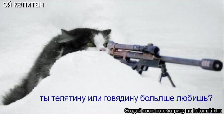 Котоматрица: эй капитан  ты телятину или говядину больлше любишь?