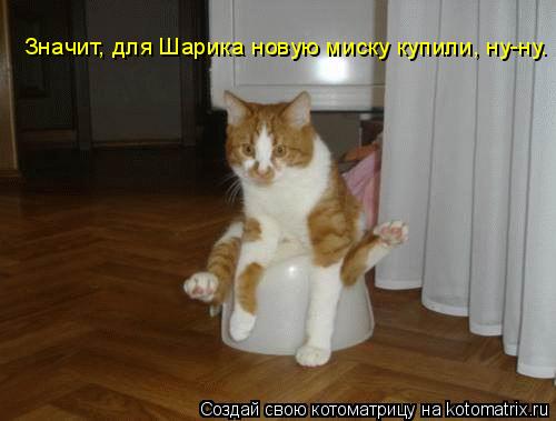 Значит, для Шарика новую миску купили, ну-ну…... Котоматрица: Значит, для Шарика новую миску купили, ну-ну…
