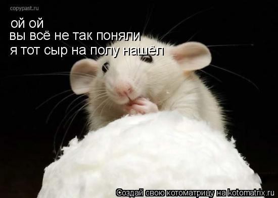Котоматрица: ой ой вы всё не так поняли  я тот сыр на полу нашёл