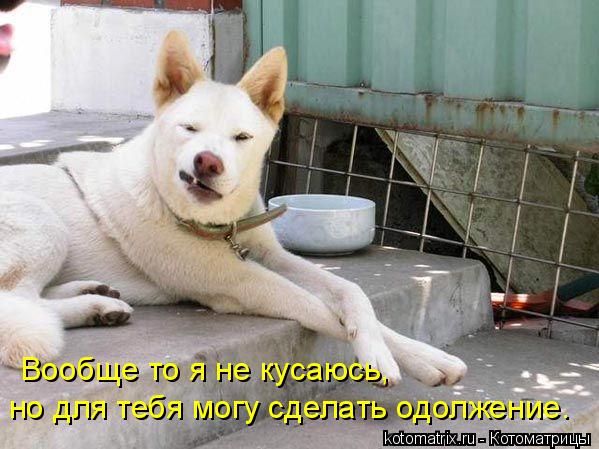 Котоматрица: Вообще то я не кусаюсь,  но для тебя могу сделать одолжение.