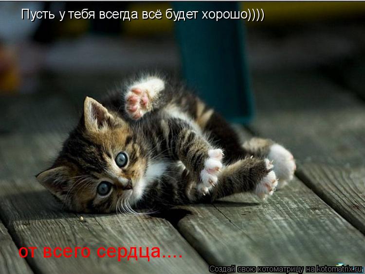 Котоматрица: Пусть у тебя всегда всё будет хорошо)))) от всего сердца....