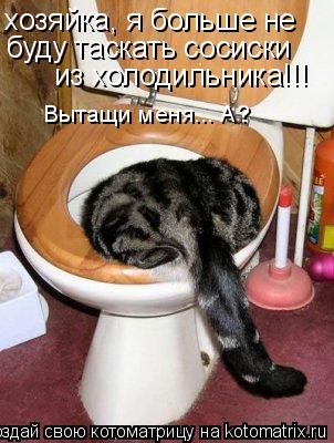 Котоматрица: хозяйка, я больше не буду таскать сосиски из холодильника!!! Вытащи меня... А?