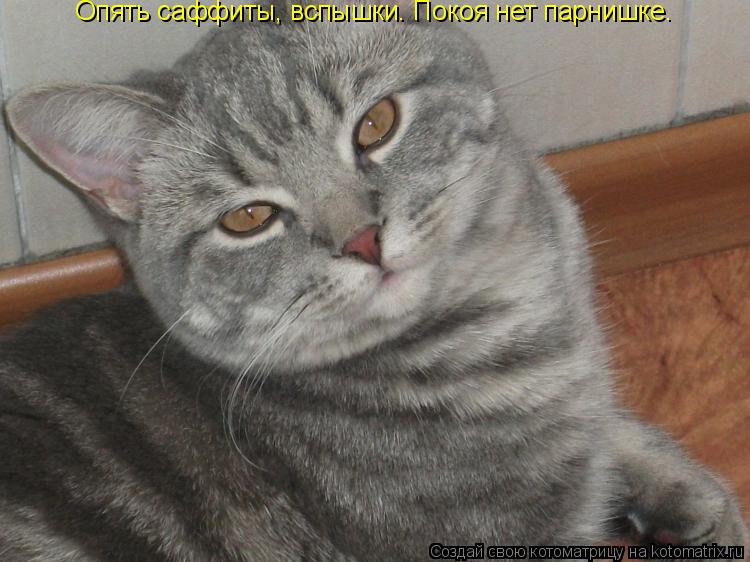 Котоматрица: Опять саффиты, вспышки. Покоя нет парнишке.