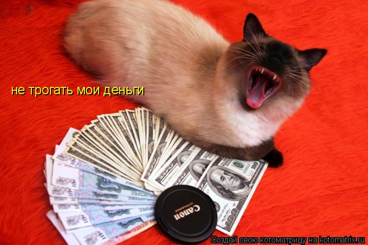 Котоматрица: не трогать мои деньги