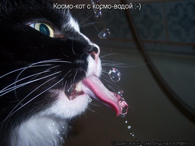 Котоматрица: Космо-кот с космо-водой :-)