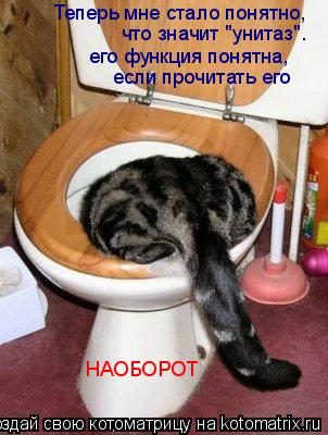 Котоматрица: Теперь мне стало понятно,  что значит "унитаз". его функция понятна,  если прочитать его  НАОБОРОТ