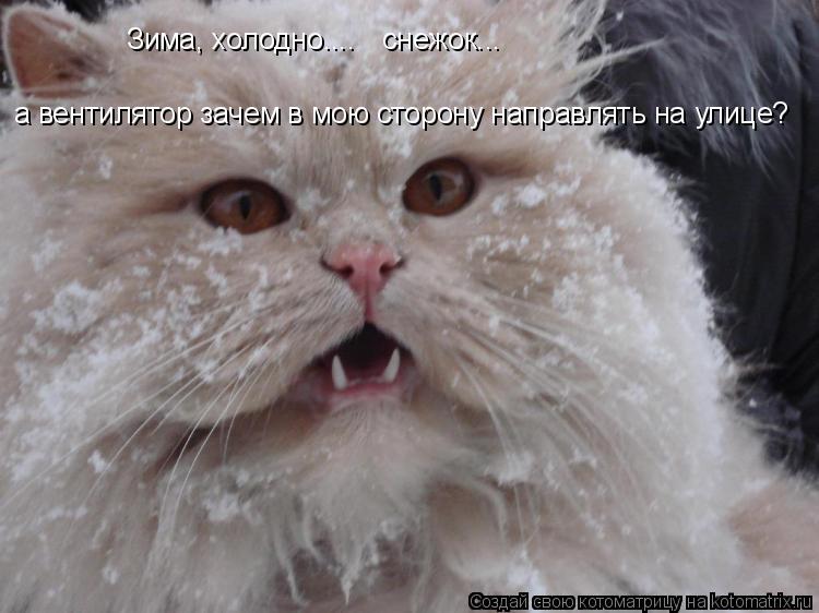 Котоматрица: Зима, холодно.... снежок... а вентилятор зачем в мою сторону направлять на улице?
