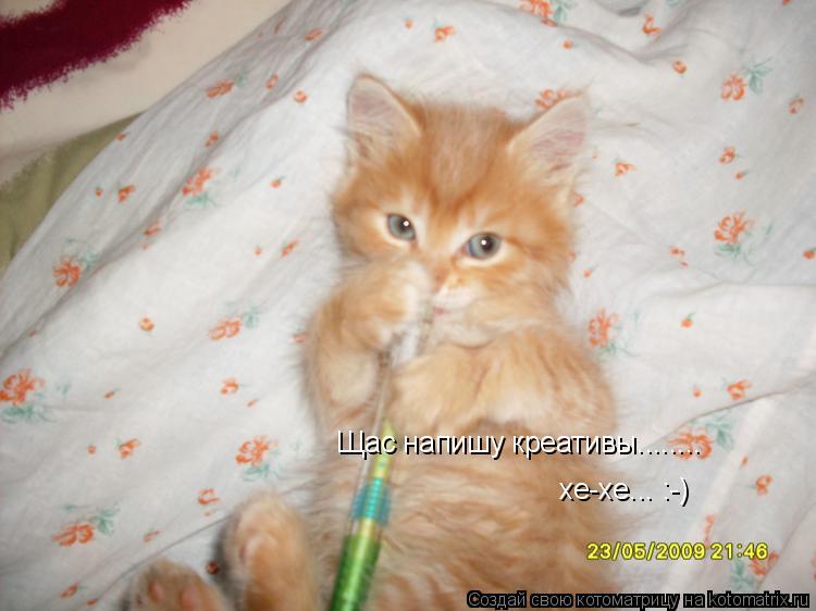 Котоматрица: Щас напишу креативы........ хе-хе... :-)