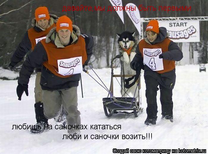 Котоматрица: давайте,мы должны быть первыми любишь на саночках кататься люби и саночки возить!!!