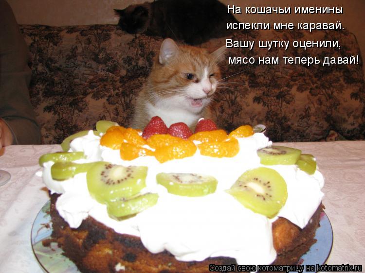 мясо нам теперь давай! На кошачьи именины испекли мне каравай. Вашу шутку оценили,... Котоматрица: мясо нам теперь давай! На кошачьи именины испекли мне каравай. Вашу шутку оценили,