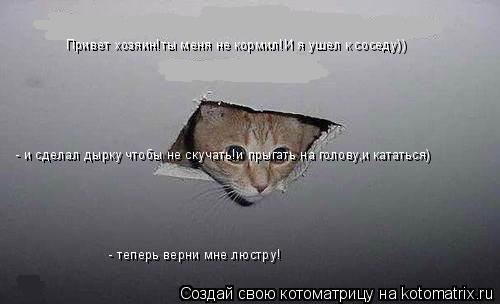 Котоматрица: Привет хозяин!ты меня не кормил!И я ушел к соседу)) - и сделал дырку чтобы не скучать!и прыгать на голову,и кататься) - теперь верни мне люстру!