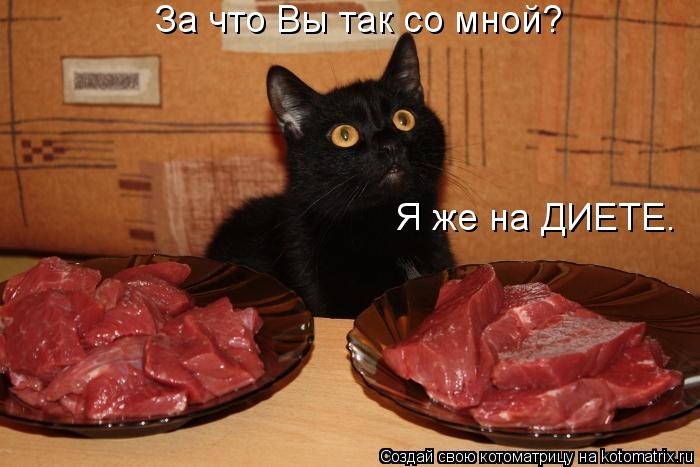 Котоматрица: За что Вы так со мной? Я же на ДИЕТЕ…