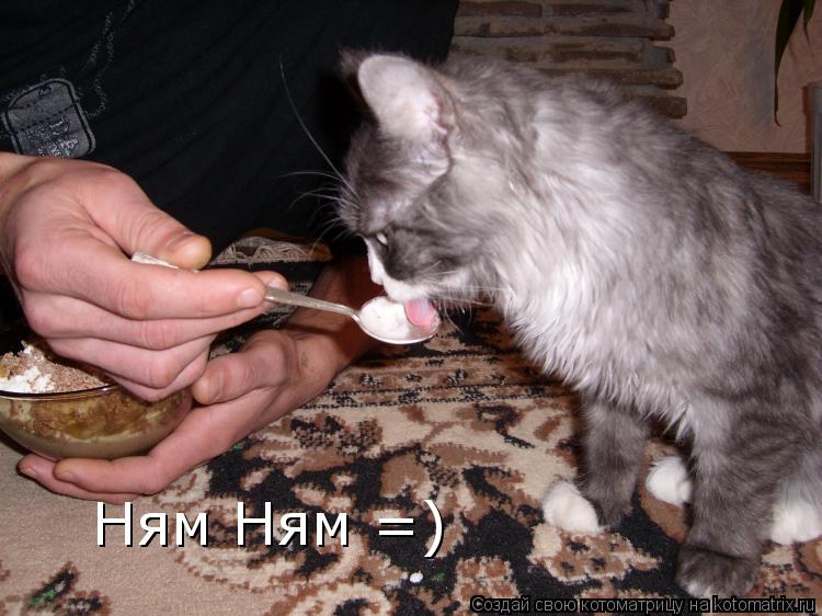Котоматрица: Ням Ням =)