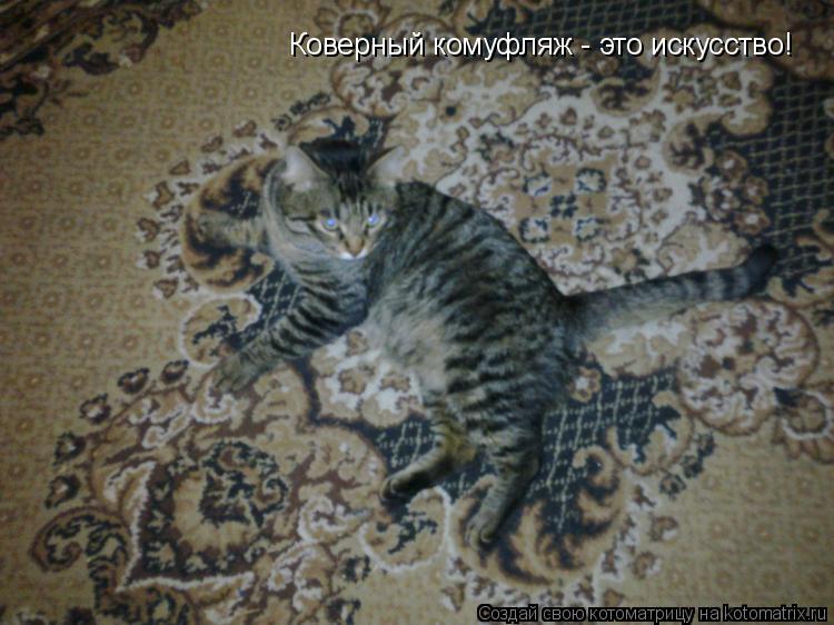 Котоматрица: Коверный комуфляж - это искусство!