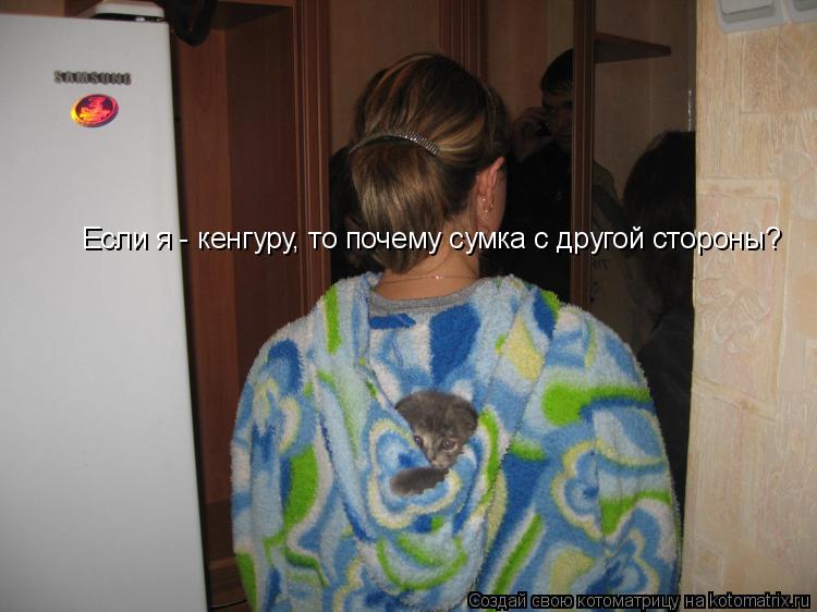 Котоматрица: Если я - кенгуру, то почему сумка с другой стороны?