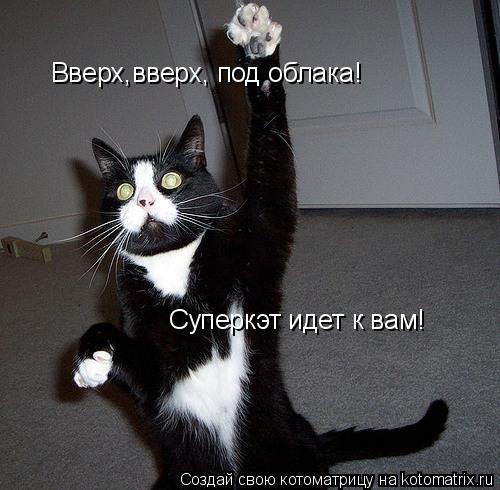 Котоматрица: Вверх,вверх, под облака! Суперкэт идет к вам!