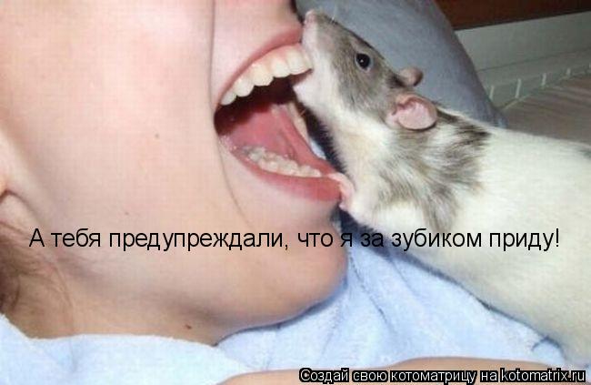 А тебя предупреждали, что я за зубиком приду!... Котоматрица: А тебя предупреждали, что я за зубиком приду!